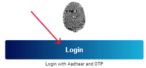 Login in myAadhaar UIDAI Portal like this