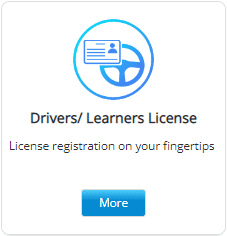 check driving licence number by name